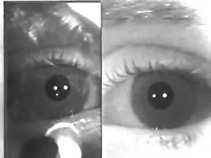 How to Measure the RAPD