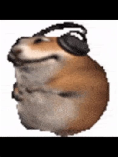 Chomik. #fyp #funny #shorts #roblox #edit