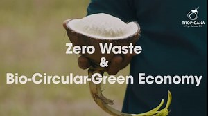 Tropicana Virgin Coconut Oil USDA Organic 8.45 fl. oz. Whole Kernel Cold-Pressed Coconut Oil Hexane-Free Not-Hydrogenated Great for Hair & Skin with Delicious Light Coconut Flavor & Aroma