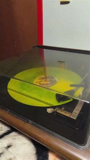 Zenith wedge playing a beautiful Shrek record