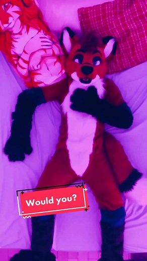 Would you snug a fox? #fursuiter #fursuit #snuggle #fyp #furryfandom #fox