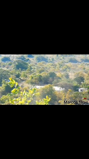 Yemuraiwo yemuraiwo | Paul Shava