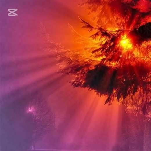 Best Weekend Vibes: Top Songs for 2026