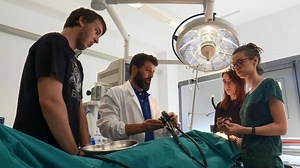 Percorsi di formazione che aprono le porte al mondo del lavoro. E’ la nuova opportunità post diploma degli Istituti Tecnici Superiori. In Italia l’80% di chi frequenta gli ITS trova occupazione entro 12 mesi. In Friuli Venezia Giulia gli occupati superano l’87%. Vieni a conoscere la proposta formativa nel settore Biomedicale dell' ITS A. VOLTA per le Nuove Tecnologie della Vita di Trieste, partecipa all'Open Day del 22 marzo registrandoti sul sito www.itsvolta.it | Area Science Park