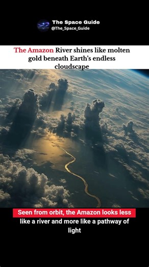 The Amazon River Looks Like Liquid Gold From Space 🌍✨ #trending#viral #shorts