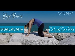 Yoga Basics: Bidalasana "Cat and Cow" Tutorial