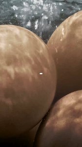 Making videos for your business has never been so easy. | Promo.com