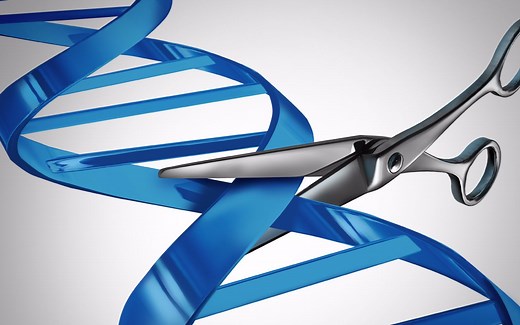 【基因修复】88秒讲清楚基因修复技术CRISPR（成簇的规律间隔的短回文重复序列）【乐喷网字幕】