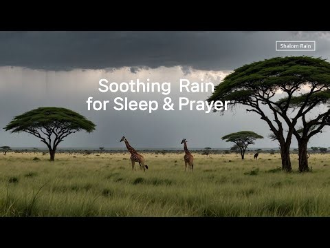 Soothing Rain Sounds with Rain for Sleep & Prayer