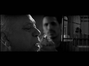 Confira o trailer exclusivo do filme 'Cores'