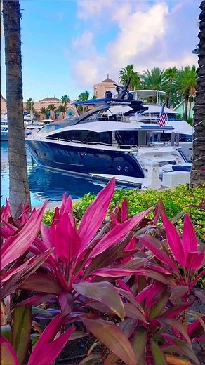 Bienvenue aux Bahamas 🇧🇸 #shorts