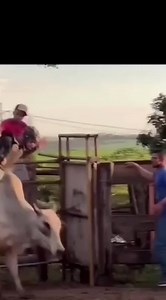 Ney Mergulhao on Reels