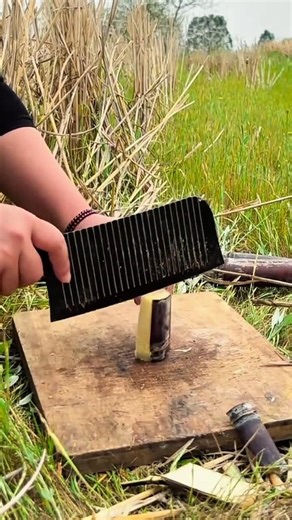 Slicing a small piece of fresh sugarcane using a wavy blade knife on a wooden board in the field