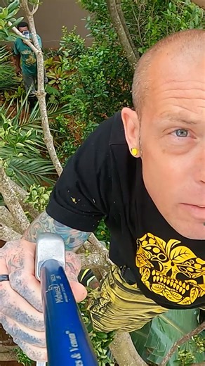 Another day, another mamba in a tree! In this episode, Simon found himself in the branches again in search of a green mamba in need of relocation. US fans, catch the full capture this Sunday in a new episode on Earth Touch TV. Available on Sling FreeStream (https://shorturl.at/WzUtW) or MyFree DIRECTV (https://shorturl.at/CYTbo). | Snake City Fans