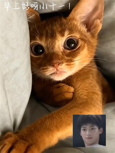 ♥️แม่จีนบอกเป็นวีดีโอลับแต่ไม่รับไปเป็นFBAกันเองมีบางคนอยากเปิดนั้นแหละ♥️จริงหรือเปล่าไม่รู้♥️ #เถียนจื่อ♥️⚡🐟🌽🍋