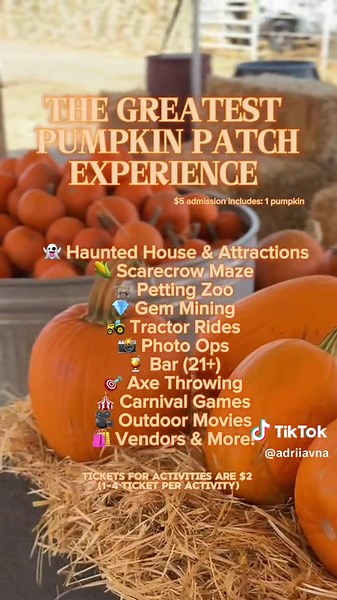 Bakersfield Pumpkin Patch: Your Ultimate Fall Experience