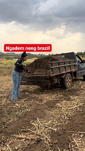 Peternakan sapi diluar negeri #peternakan #sapi #vod | Peternak Kambing Milenial