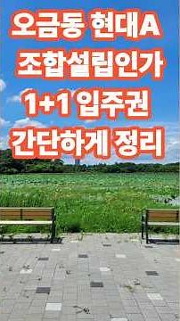 도시및 주거환경정비법. 76조1항7호라목.재개발.재건축 1+1 입주권