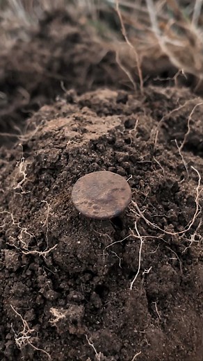 Our second ever Celtic coin find! Over 2000 years old this silver unit has a heavy crust, the faint iconography depicts the Horse and boar type and like our previous Celtic coin find is also of the Corieltauvi Tribe, dating to around 60 BC - 10 AD. The Corieltauvi Tribe inhabited the East Midlands area with the capital in Ratae Corieltauvorum, present day Leicester. We found this coin after a long day and live stream, the sun was beginning to set, the evening was still and the moon was beaming d