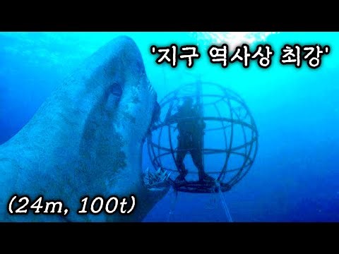천하의 범고래도 상대조차 되지 않았던 바다의 최강자