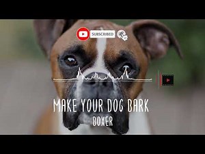 Make your Dog Bark - Boxer Sound effects