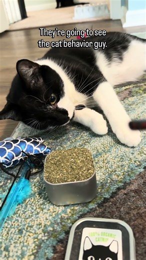 Our Pawrents Are Going to a Cat Conference. We Are Not Invited.