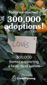 🎉 Today we celebrate a huge milestone for us at CrowdFarming, we’ve reached 300,000 adoptions! CrowdFarming started as a dream to connect farmers directly to their consumers and to create a more resilient food system. Today we reach 300,000 real connections between homes and the farms that feed them. 🌱 With each adoption, a farmer receives fair pay, consumers get traceable, seasonal food, and together we help build a more transparent food system. This model means no middlemen, less waste, and 