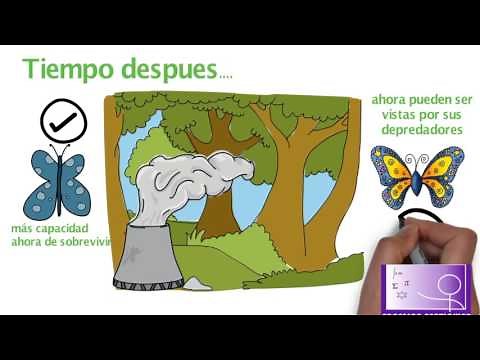 Natural Selection and Evolution | Biology