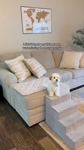 Cozy fall decorating hits different @nolan_interior 🍁🍂🧡 | Mochi The Maltipoo