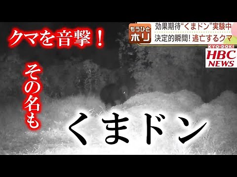 Bears run away in surprise... but it turns out a new bear countermeasure: "Kumadon," a device tha...