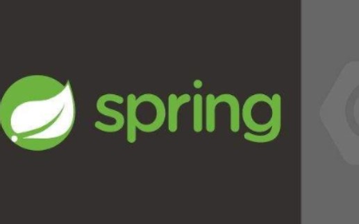 Spring 快速入门到进阶 最全Spring教程 Spring框架视频教程