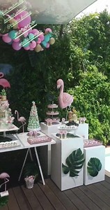 The Little Factory on Reels