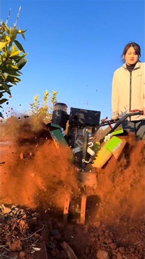 young girl operate the trencher, even an experienr"Master!" With a quick grip, she'd create furrow.