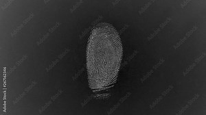Fingerprint Database Scan, Textured. A loop of different fingerprints cycling through a database to overlay on other footage.