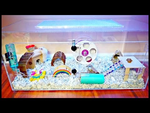 HAMSTER CAGE | Acrylic Cage Tank Terrarium | Mochi's New Cage Setup