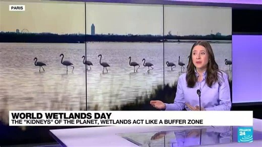 World Wetlands Day: Some 70% of wetlands have disappeared in last 100 years