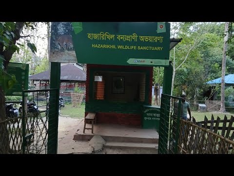 HAZARIKHIL WILDLIFE SANCTUARY, Chittagong. Tour! 🏝️ #tourvideo