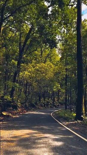 Chal Wahan Jaate Hain Full Song with LYRICS - Arijit Singh | Tiger Shroff, Kriti Sanon |