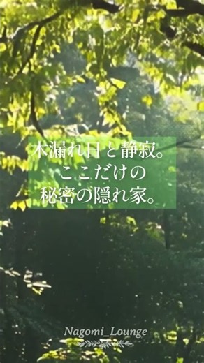 森林カフェで心を「凪」にする絶景ギターBGM🎸 #作業用bgm #リラックスピアノ #朝5時の和みラウンジ