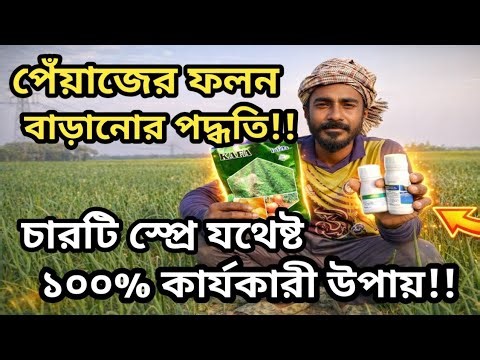 Secret method to increase onion yield! 💥 4 sprays that work 100% | Onion Farming Tips