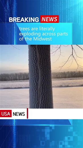 trees are literally exploding across parts of the Midwest#news #fyp #breakingnews #us #tree