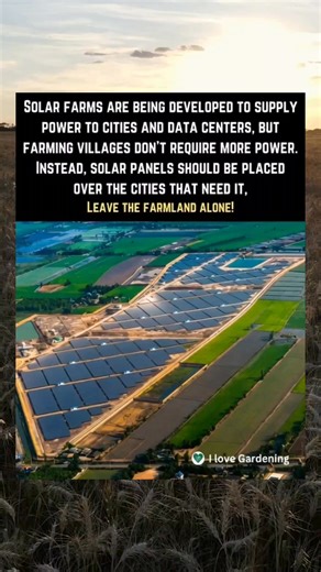 Solar energy is essential for a sustainable future, but it should never come at the cost of the land that feeds us. Let’s prioritize placing solar panels in urban areas, leaving farmlands free to grow our food. 🌱☀️ | I love Gardening
