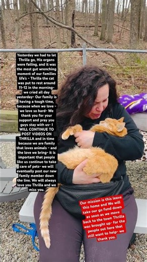 Thrilla the cats last day April 4th 2026 - we love you guys #catsofyoutube #cat #fyp