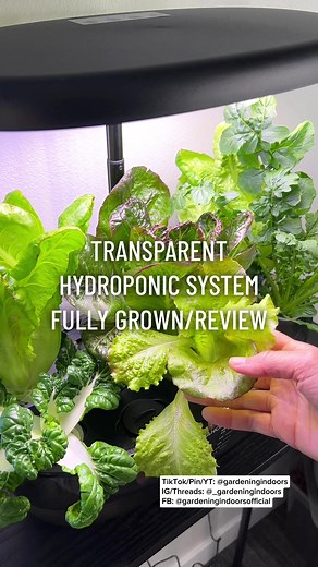 Final thoughts on this hydroponic system. Would you try it? Setup Video (3 Common Mistakes When Setting Up Hydroponic Systems): @gardeningindoors #ahopegarden #growahope #indoorgardentok #gardeningindoors #hydroponicsystem #growyourownfood #apartmentgardening #indoorgardentips #growfoodindoors #indoorvegetablegarden