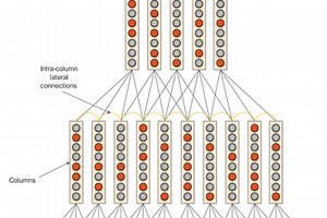 Column Swarm Reinforcement Learning (CSRL)