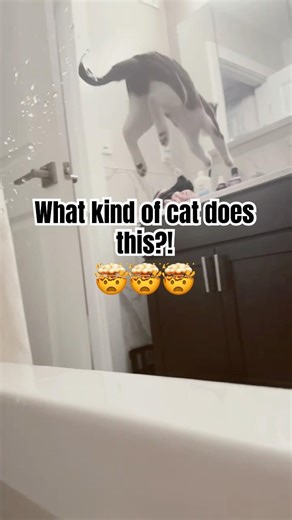 His tail got wet 🤣 #viral