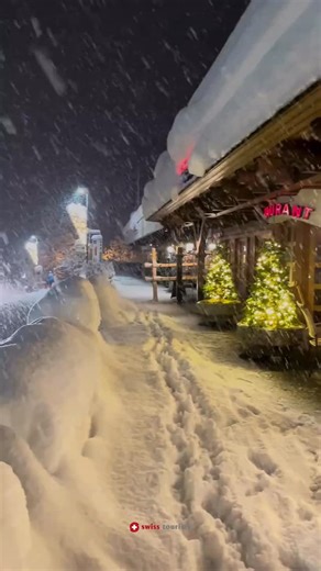 ✨ Zurich Winter Magic ❄️ Lights, snow, and pure Swiss holiday charm. Feel the Christmas spirit come alive at SwitzerSee. Book your ride or customize your itinerary now! ✨ #ZurichChristmas #WinterInSwitzerland #SwissTravel #ChristmasVibes #VisitZurich | swiss touristy