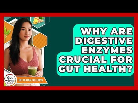 Why Are Digestive Enzymes Crucial For Gut Health? - Gut Wellness Central