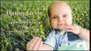 54K views · 659 reactions | 7NEWS Regional WA on Reels | Facebook