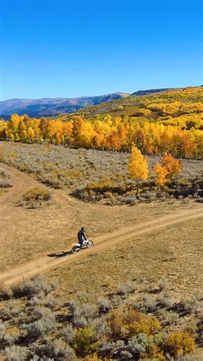 4.5K views · 255 reactions | The leaves are changing and the nights are getting shorter!  Don't let that stop you from getting a full ride in! Head over to www.oxbowgear.com and order your Voyager Light today!  #oxbow #oxbowgear #voyager #dirtbikelight #journeyfarther | Oxbow Gear | Facebook